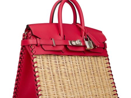 Hermes Picnic Sellier Birkin 25 Framboise Swift Palladium Hardware For Sale