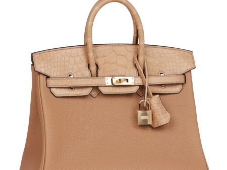 Hermes Birkin 25 Chai Matte Alligator and Togo Touch Permabrass Hardware Fashion