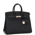 Hermes Birkin 25 Caban Togo Rose Gold Hardware Hot on Sale